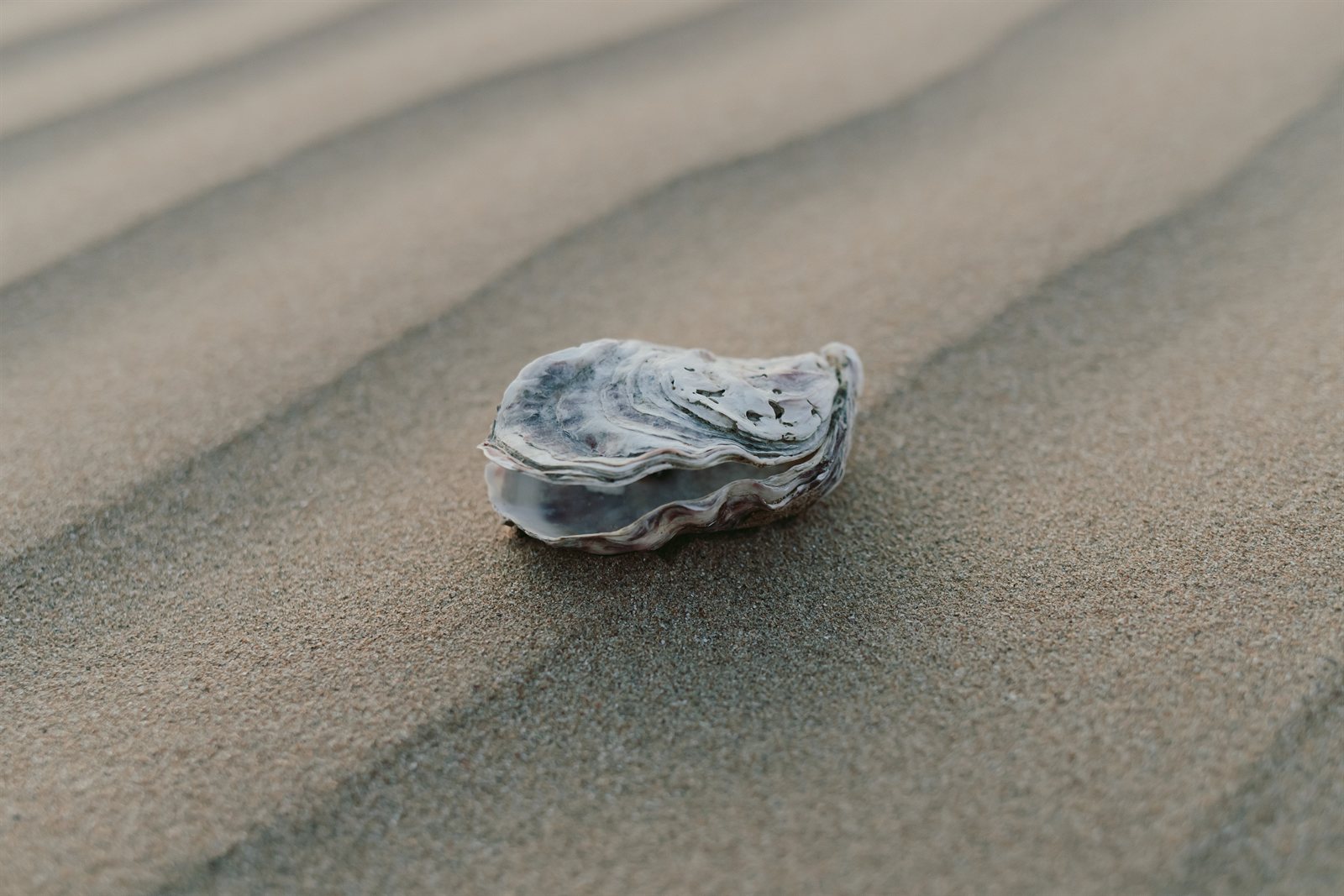 Le Tiny Beach — environnement