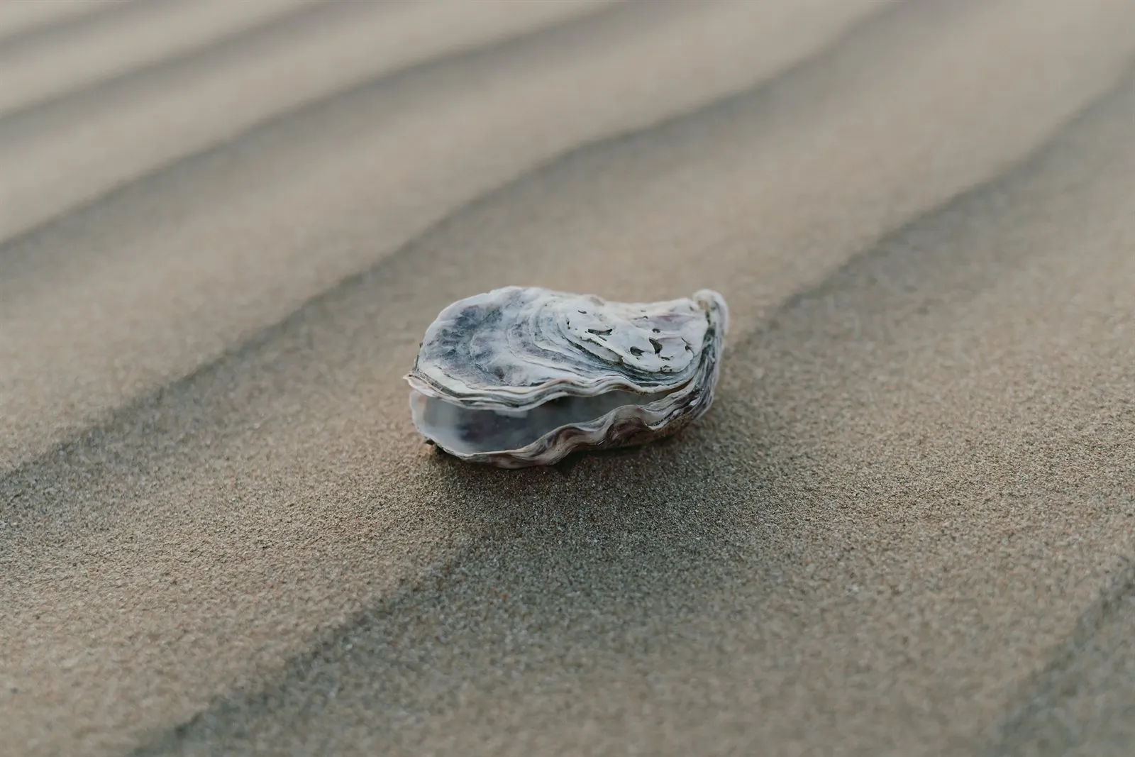 Le Tiny Beach — environnement